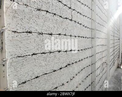 Sharp rusty steel barbed wire covered on the white building wall. Long Sharp metal barbed wire. Stock Photo