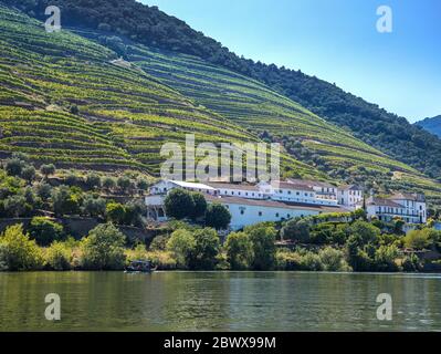 Quinta das Carvalhas on bank of Douro river, midst the terraced hillsides covered in vines with river trip boat passing Pinhão Northern Portugal Stock Photo