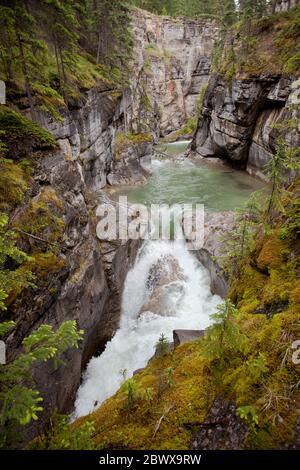 Waterfall in Johnston Canyon Stock Photo