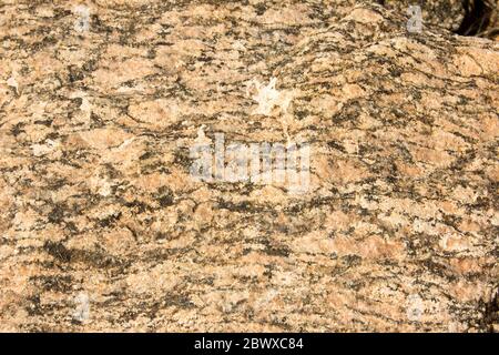 Close-up of a rough section of Augen Gneiss, showing the eyelike features which gives it its name Stock Photo