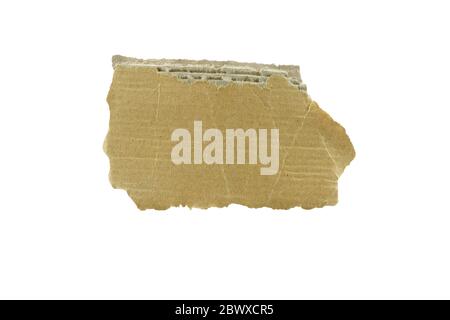 Torn Cardboard Piece Isolated on White Background. Stock Photo