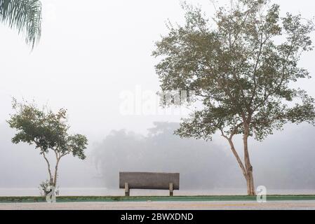 An empty bench in a foggy morning Stock Photo