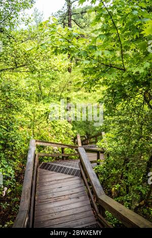 Stairway descent into Tallulah Gorge, a 1000-foot deep gorge formed by the Tallulah River, at Tallulah Gorge State Park near Tallulah Falls, Georgia. Stock Photo