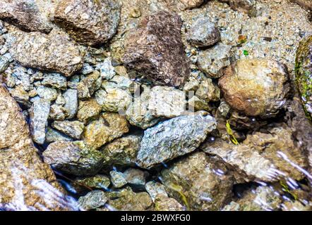 Crystal clear water in the waterfall of Panchpula, Dalhousie, Himachal Pradesh, India. Small pebbles under the clear water. Colorful pebble in water. Stock Photo