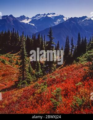 Mount Olympus viewed from the Seven Lakes Basin and High Divide area of Olympic National Park, Washington State, USA Stock Photo