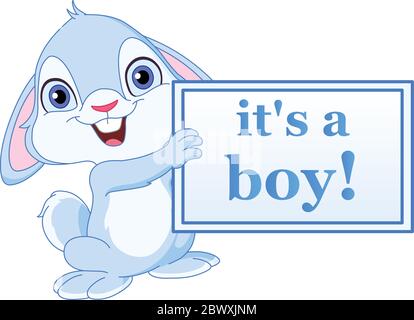 Baby bunny holding it’s a boy sign Stock Vector