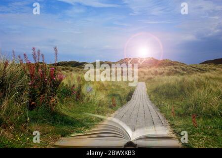 Collage of photos of green rural landscape with wooden path with light from lens flare and open book in soft focus. Book is power, source of knowledge, dream, access to wisdom concept. Road leading to the knowledge Stock Photo