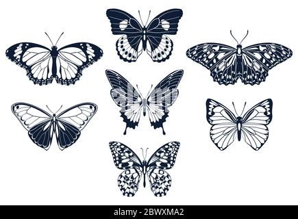 Set of butterflies icon silhouettes. Vector illustration. Stock Vector