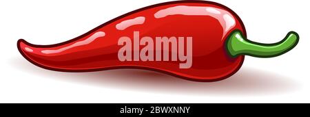 Vector chili pepper Stock Vector