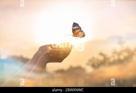 The girl frees the butterfly from  moment Concept of freedom Stock Photo