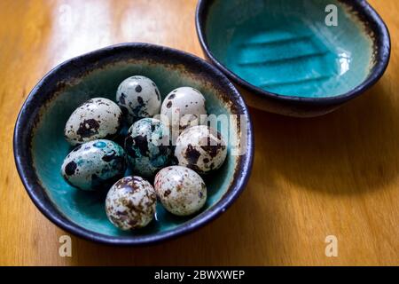Tiny turquoise and green spotted easter eggs in a beautiful ceramic bowl on wooden table Stock Photo