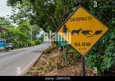 A traffic warning sign to slow down for the protection of children and wildlife in Quepos in Costa Rica. Stock Photo