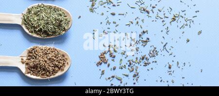 Banner collection of spices from herbs. Wooden spoons with spices laid out on the left side. Stock Photo