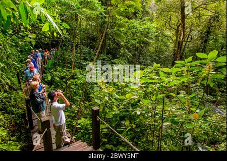 Tourists hiking in the rainforest at the El Chorro Macho Trails in El Valle de Anton near Panama City, Panama. Stock Photo