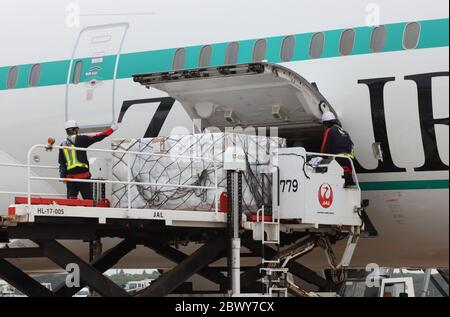 first Japan Airlines JAL Boeing 777-200 (LN 23 WA171) in the wing join ...