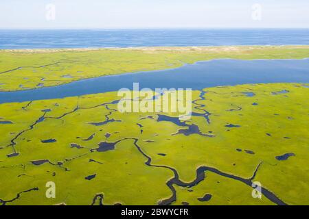 An aerial view shows narrow channels meandering through a salt marsh on Cape Cod, Massachusetts. Salt marshes are important habitats for many species. Stock Photo