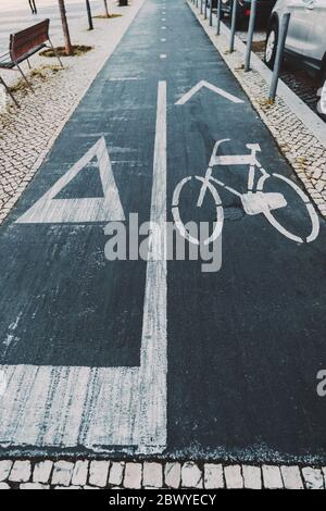 Wide-angle vertical view of a road marking sign on asphalt on a bicycle lane and the running track, dividing line in the center; paving-stone, sidewal
