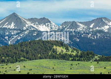 peaks of the crazy mountains above foothills in the daisy dean creek ...