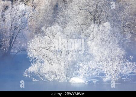 Hoar frost on the Chippewa River in northern Wisconsin. Stock Photo