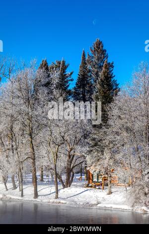 Hoar frost on the Chippewa River in northern Wisconsin. Stock Photo