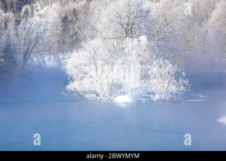 Hoar frost on the Chippewa River in northern Wisconsin. Stock Photo