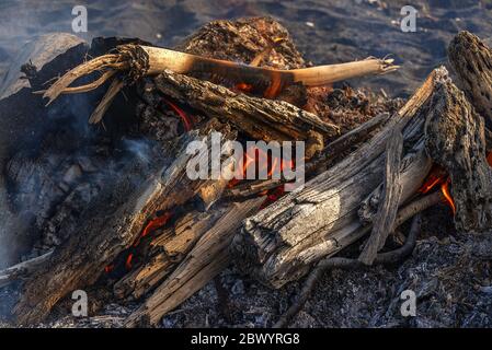Close up of wood burning on a black sand beach. Stock Photo