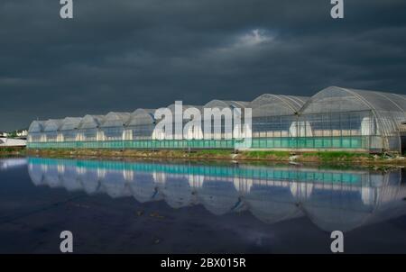 Dark rain clouds loom over a row of green houses in rural Goyang, South Korea. Stock Photo