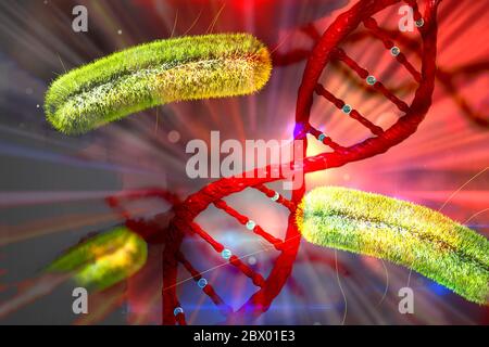Bacteria and DNA concept scientific background of bacterium and DNA Stock Photo