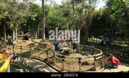 Bandung, Indonesia - July 7, 2018: View of the Rabbit Park or Taman Kelinci at Floating Market Lembang, West Java. Stock Photo