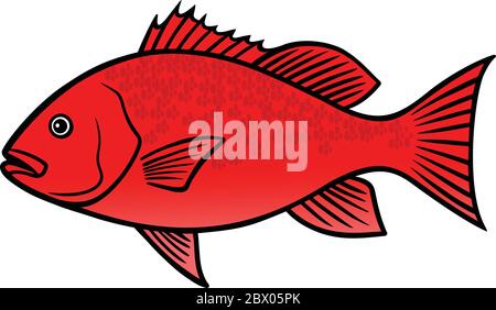 Red Snapper Fish - A cartoon illustration of a Red Snapper Fish