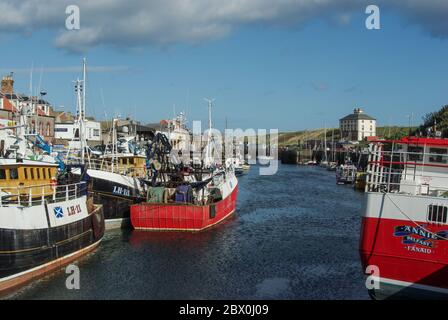 Fishing boats in the harbour at Eyemouth, Scottish Borders, Gunsgreen House in the background Stock Photo