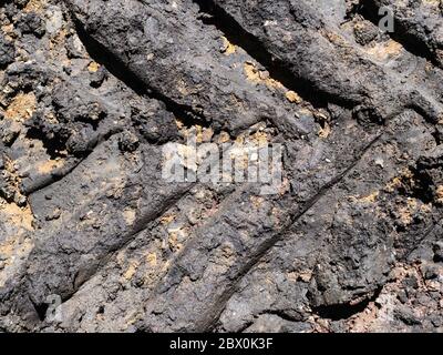 top view of tractor wheel imprint close up in wet soil on edge of freshly plowed field in spring Stock Photo