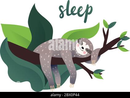 Cute lazy sloth sleeping Stock Vector