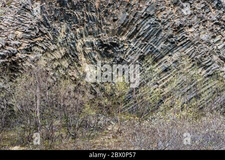 Hljóðaklettar (Echo Rocks), extraordinary volcanic columnar basalt rock formations in the Jökulsárgljúfur canyon in NE Iceland Stock Photo