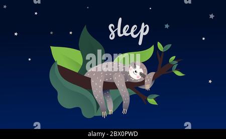 Cute lazy sloth sleeping  Stock Vector
