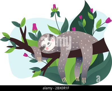 Cute lazy sloth sleeping  Stock Vector