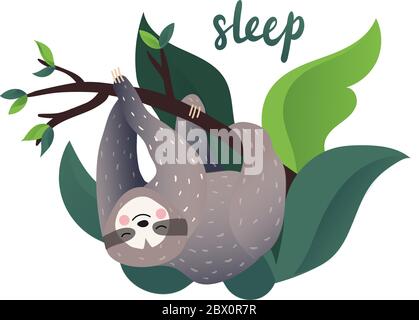 Cute lazy sloth sleeping Stock Vector