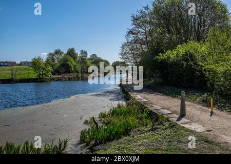 A health walk along the canal basin during the corona virus pandemic Stock Photo