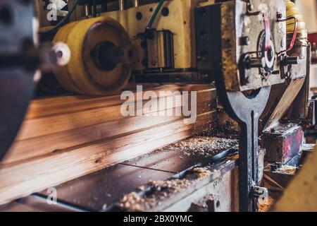 The guide rollers in a molding machine for profiling timber - sawmill - production of glued laminated timber Stock Photo