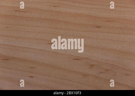 background, laminate floor, wood effect, fine horizontal structures, light brown Stock Photo