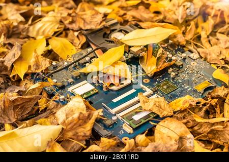 computer motherboard lying on the street in the autumn yellow fallen leaves Stock Photo