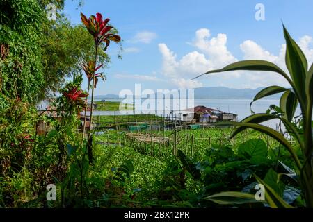 Fishfarm in Lake Tondano. North Sulawesi, Indonesia Stock Photo