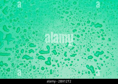 Transparent drops of water on a smooth and shiny colored surface. Water drops texture. Plain colored background with multiple drops of water Stock Photo