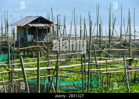 Fishfarm in Lake Tondano. North Sulawesi, Indonesia Stock Photo