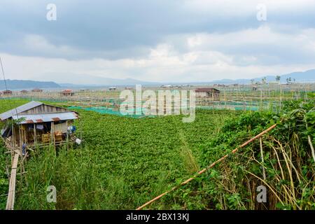 Fishfarm in Lake Tondano. North Sulawesi, Indonesia Stock Photo