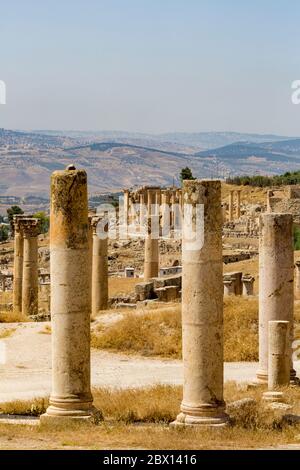 view towards forum, Jerash, Jordan Stock Photo