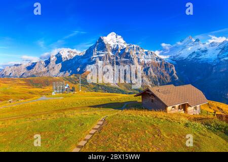 Grindelwald First, Switzerland aerial Swiss Alps mountains panorama landscape, wooden chalet and high snow peaks in background Stock Photo