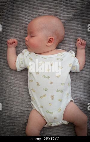 A newborn baby girl sleeping on a grey rug.  Photo by Sam Mellish Stock Photo