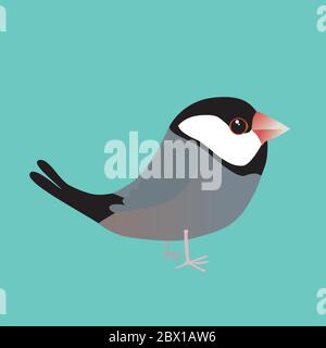 A digital vector illustration of a cute java sparrow. Comic cartoon style. The background is turquoise. Stock Vector