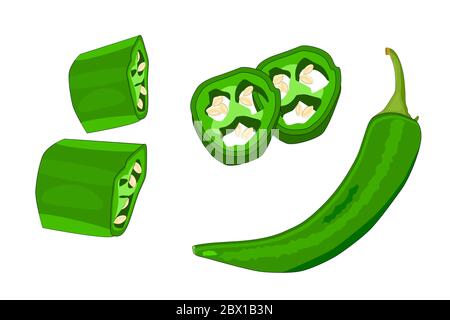 Jalapeno isolated on white background. Set of sliced jalapeno pepper. Green pepper icon. Chili spice traditional ingredient of Mexican cuisine. Vector Stock Vector